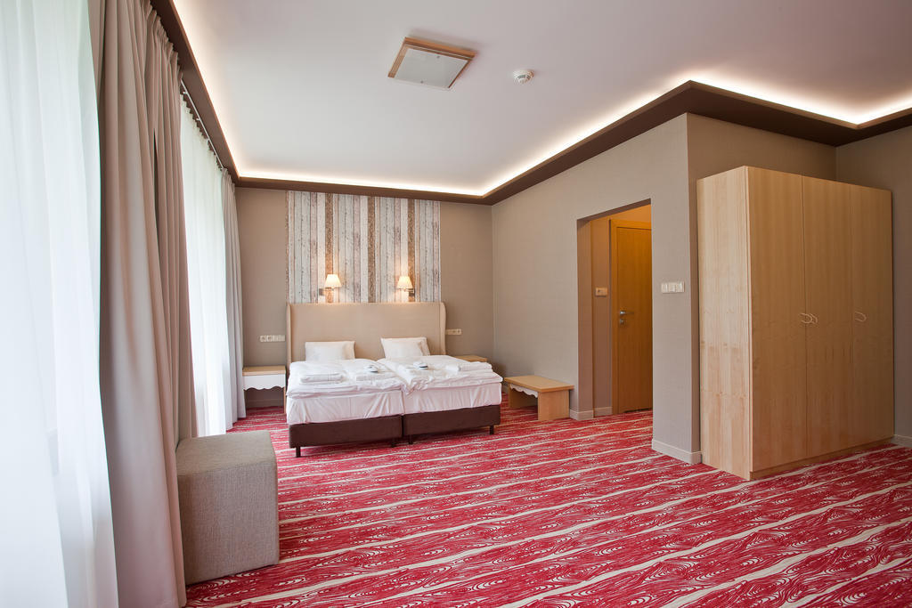Hotel Piwniczna Spa&Conference Bilik gambar